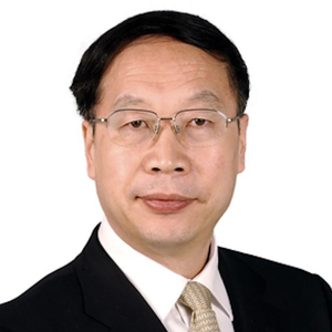 Bo Su (Vice Chairperson of the Economic Affairs Committee, 13th CPPCC National Committee)