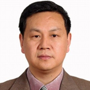 Wen He Liao (Professor at Nanjing University of Science and Technology)