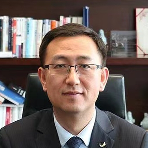 Ruijia Yang (Chairman at Nanjing Milestone Medical Technology Co., Ltd)