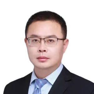 Xinde Li (Professor, Doctoral supervisor at Northeastern University)